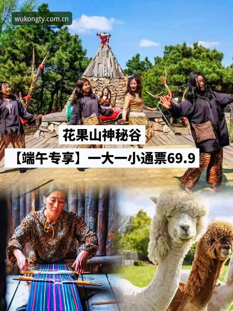 悟空体育官网入口实用指南：从登录到赛事分析的完整攻略